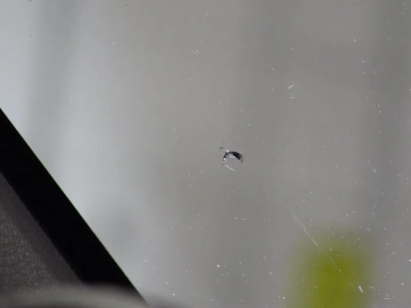 Windshield Rock Chip Repair - Image 2